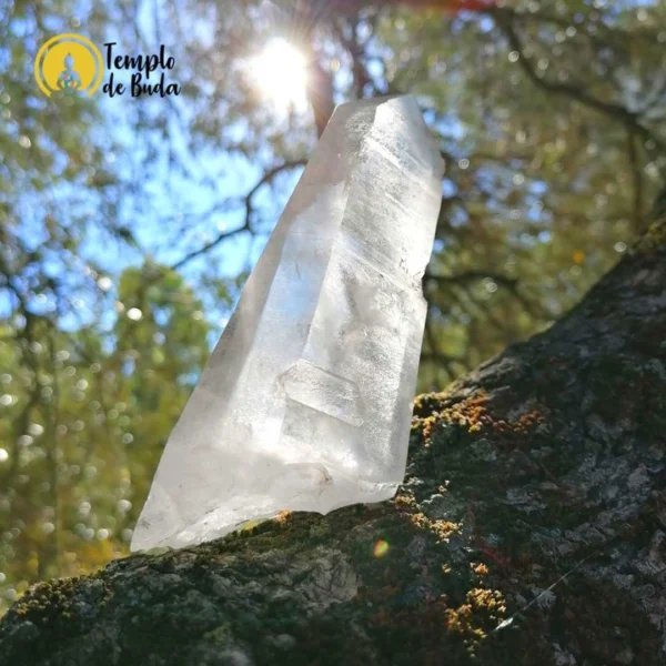 Ponta de Quartzo Cristal 442gr