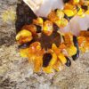 Collana d'ambra Chips - immagine 3
