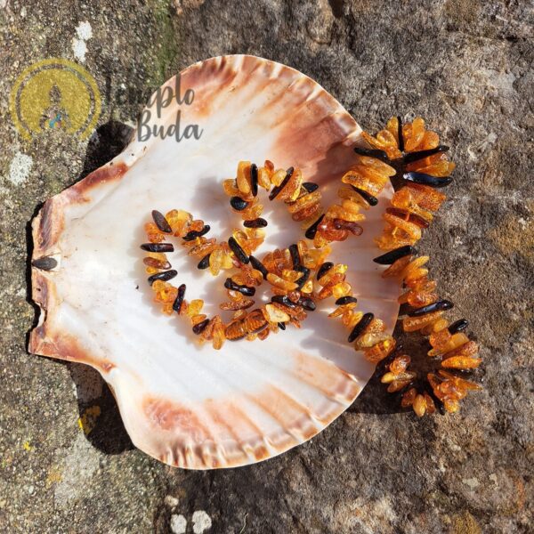 Collar Chips Amber - Imagen 4
