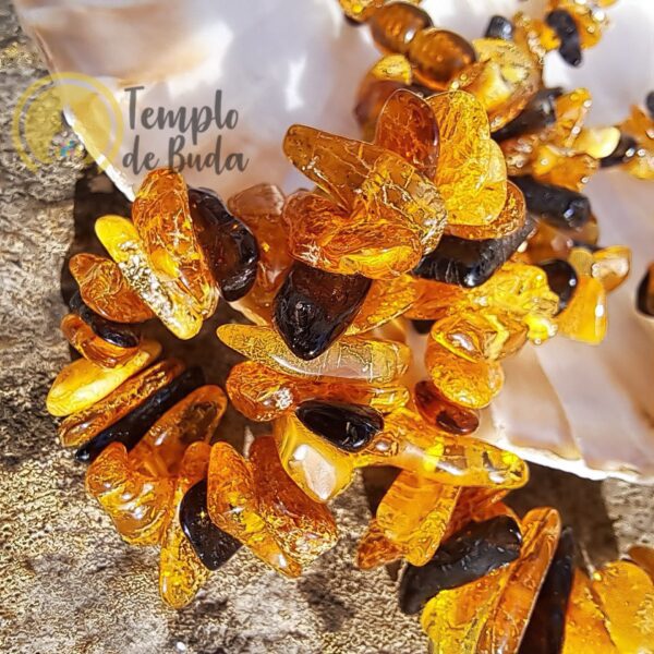 Collar Chips Amber - Imagen 2