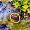 Pulseira de Citrino
