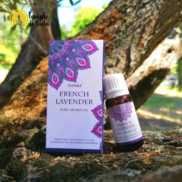 French Lavender Goloka Óleo Essencial