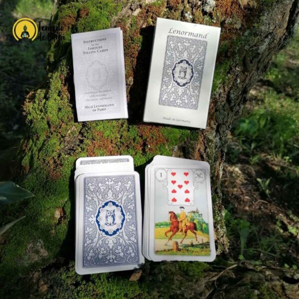 Carte Lenormand del Gufo Blu in inglese