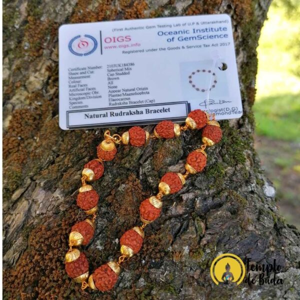 Pulseira de Rudraksha Dourada - Image 3