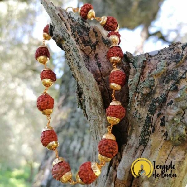 Pulseira de Rudraksha Dourada - Image 2