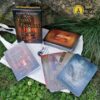 Oráculo das Vidas Passadas de de Doreen Virtue e Brian Weiss em Espanhol - Image 2