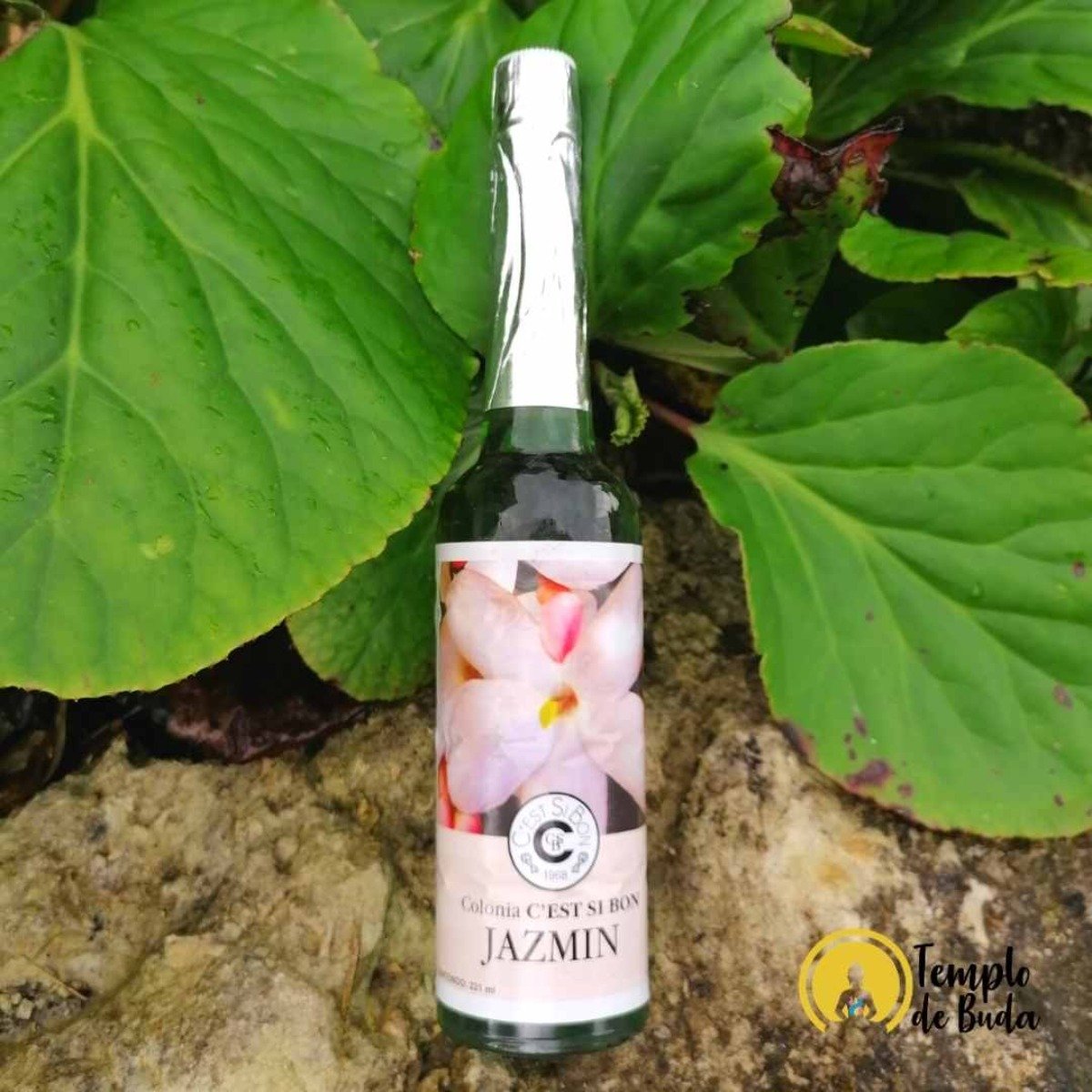 Agua de Jasmim