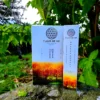 Incenso Fleur de Vie Sacred Garden Caixa