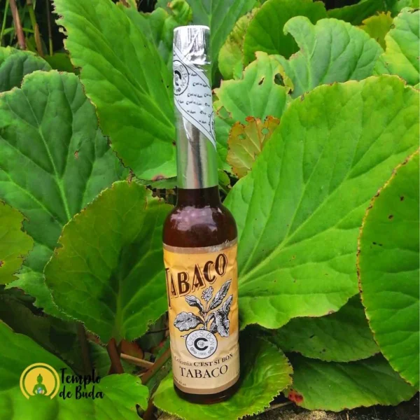 Água de Tabaco