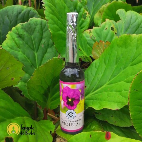 Agua de Violetas - Image 2