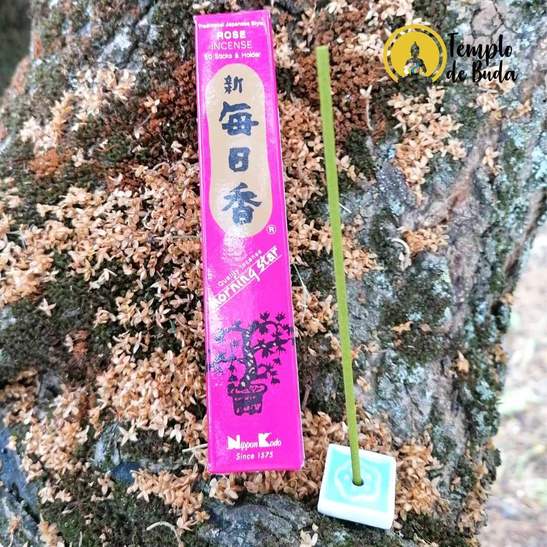 Incienso Japonés Jazmín Estrella de la Mañana - Templo de Buda - Tienda de  esoterismo