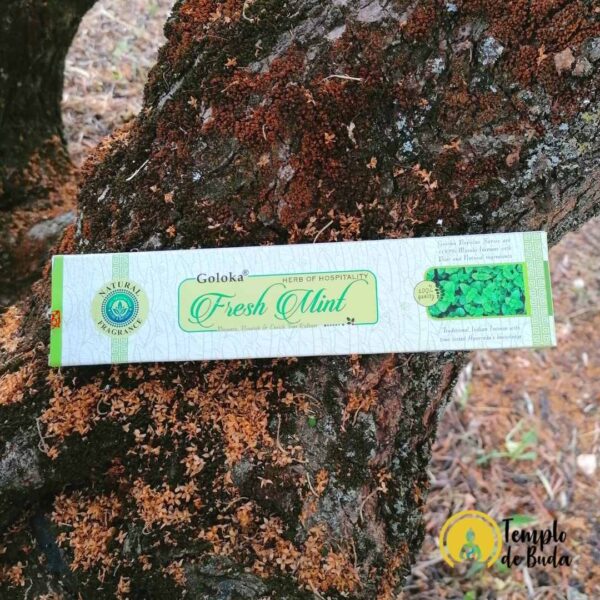Goloka Frische Minze Weihrauch – Bild 2