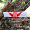 Incenso indiano Angelo del Potere dell'Albero Verde - immagine 3