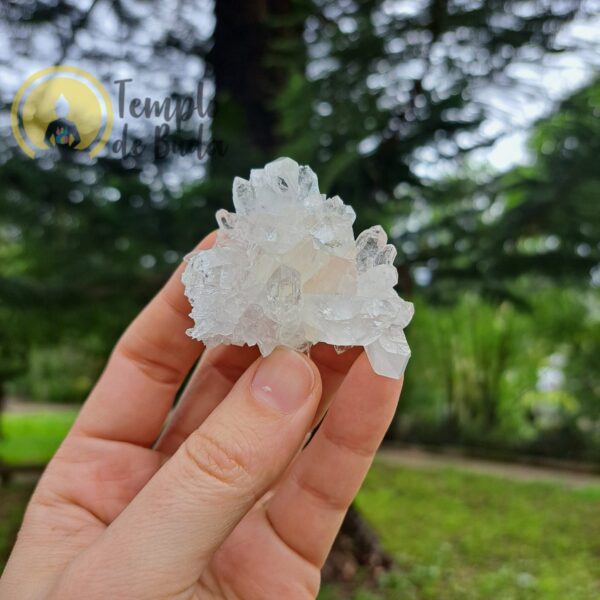Drusa de Cristal Hialino