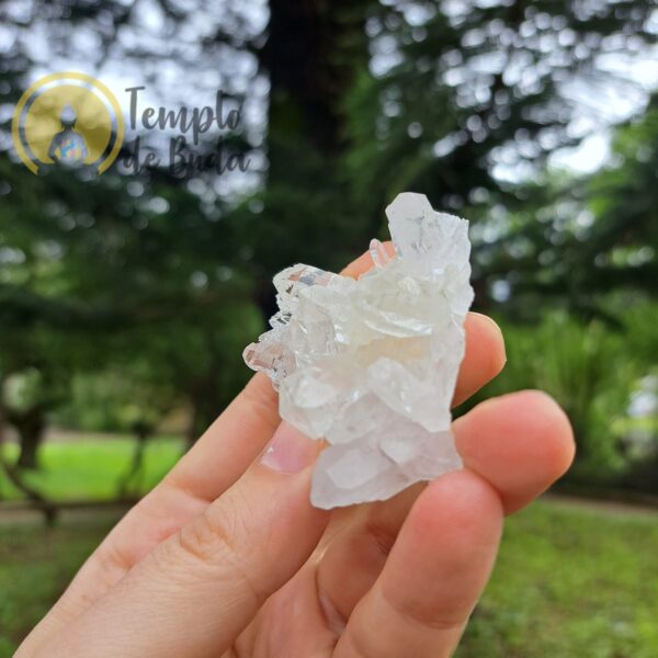 Drusa de Cristal Hialino