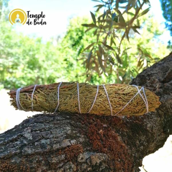 Tocha Juniper 25 cm - Image 2