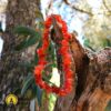 Pulseira de Cornalina Chips