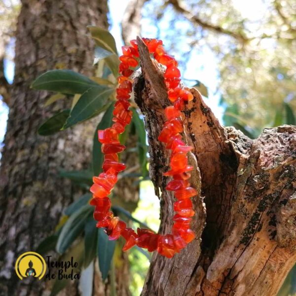 Pulseira de Cornalina Chips