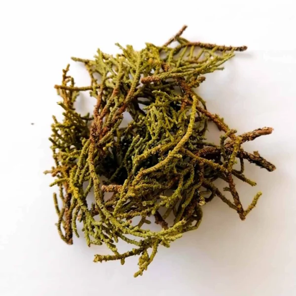 Folhas de Juniper