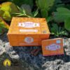 Räucherkegel Indischer Nag Champa Dhoop Box – Bild 2