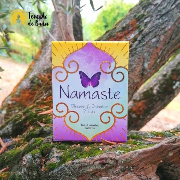 Namaste Blessing & Divination Cards de Toni Carmine Salerno em Inglês