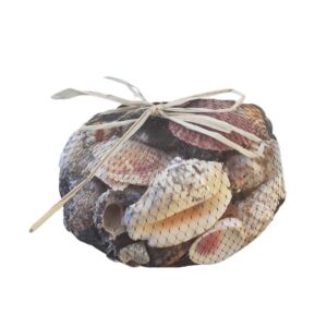 Saco de Conchas 1 kg