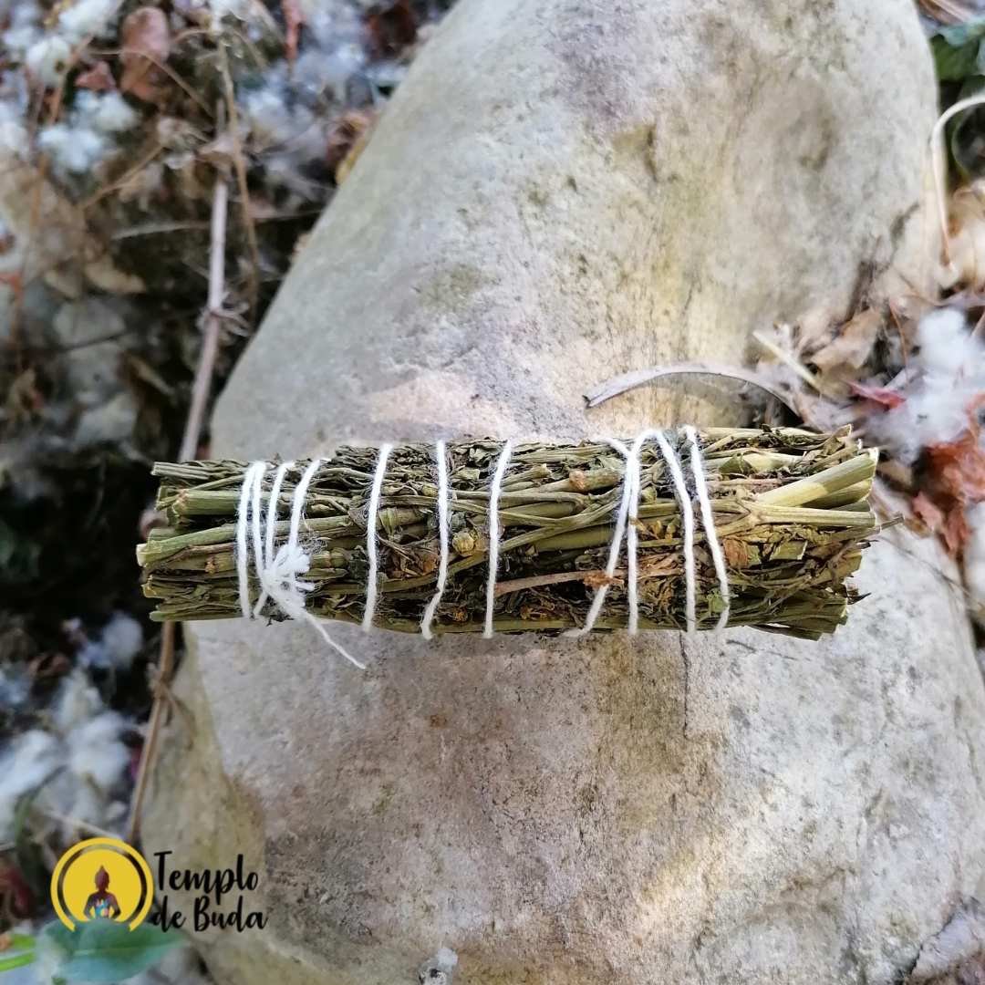 Tocha de Arruda 10cm