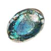 Abalone Concha Verde 18-20cm