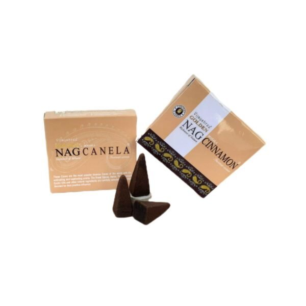 Incenso Indiano Cone Golden Nag Cinnamon