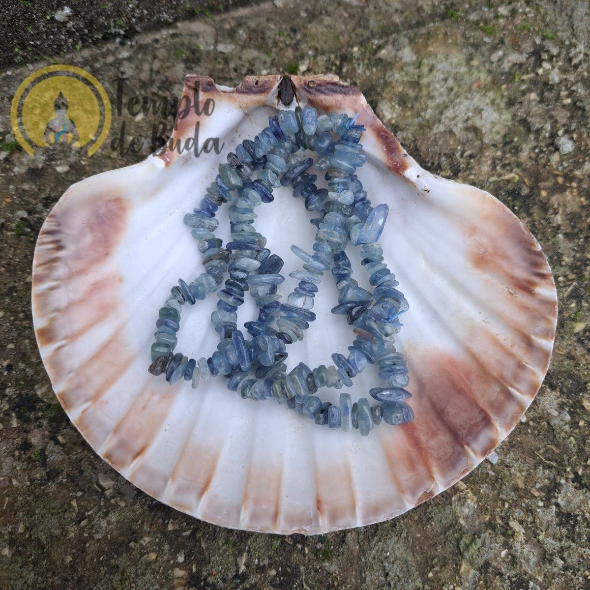 Pulseira Cianite Chips