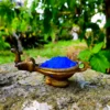 Anil