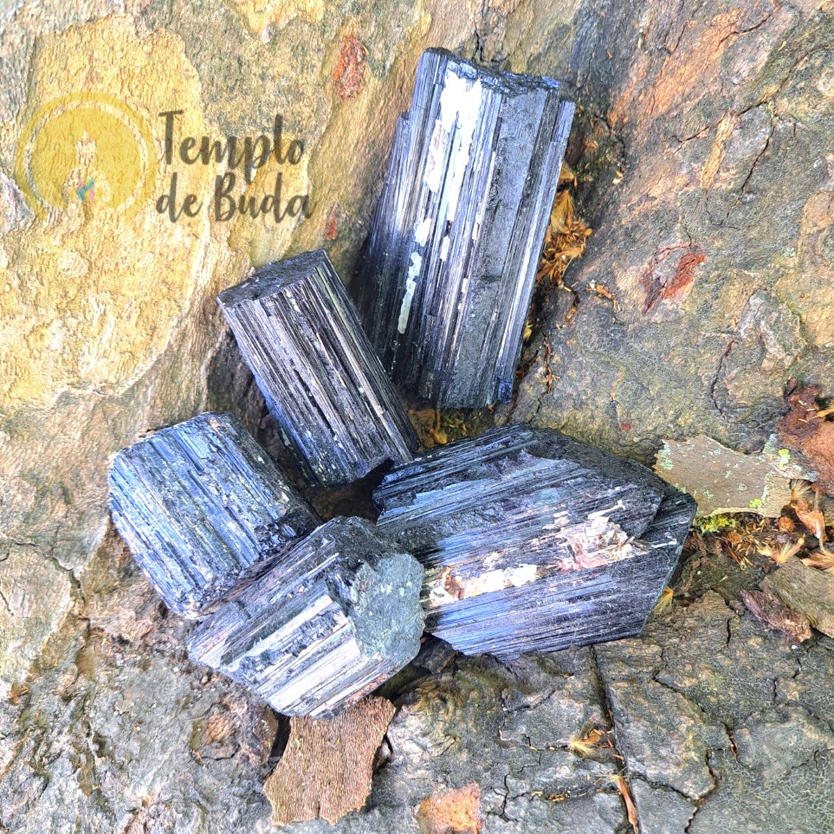 Turmalina Negra Radial