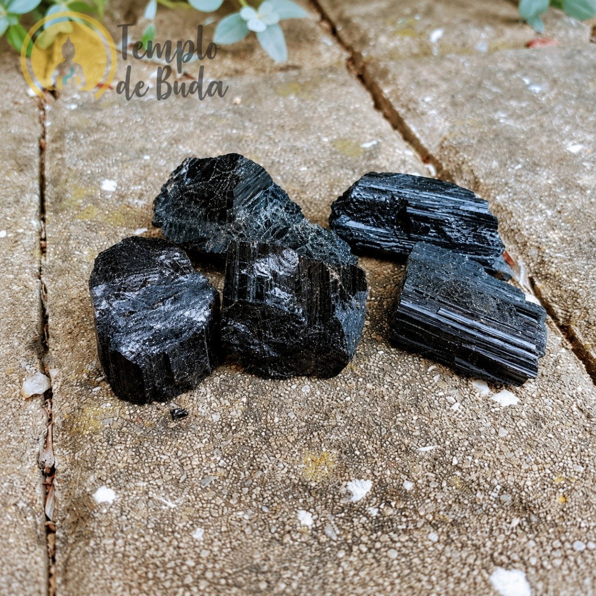 Turmalina Negra Radial
