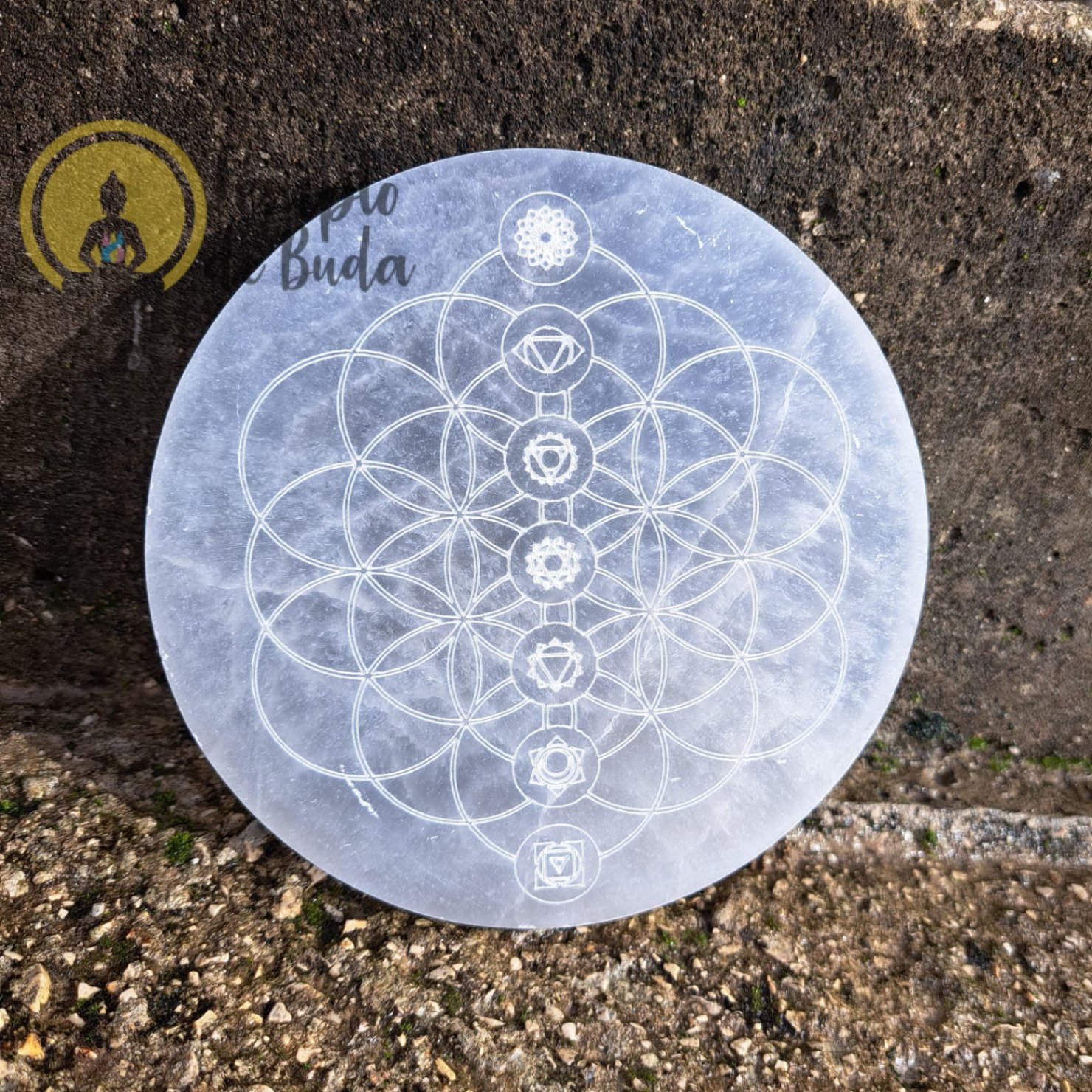 Placa de Selenita Redonda