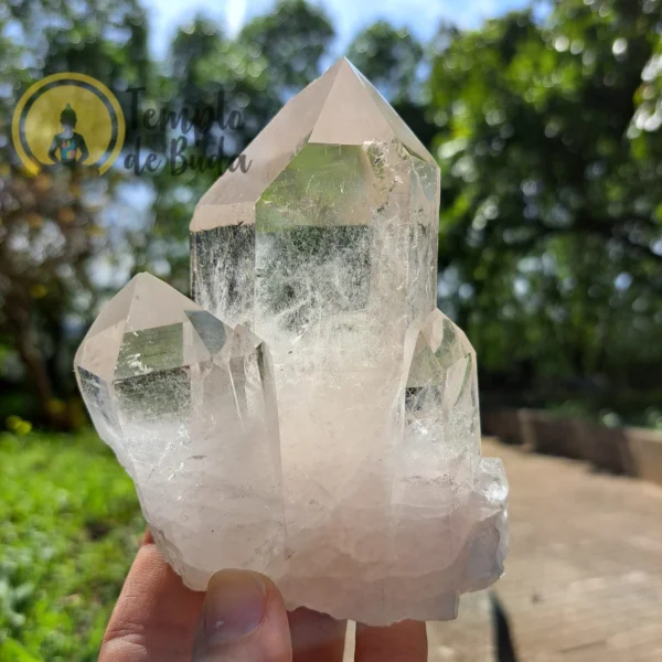 Lemurian Ghost Crystal 4 Points