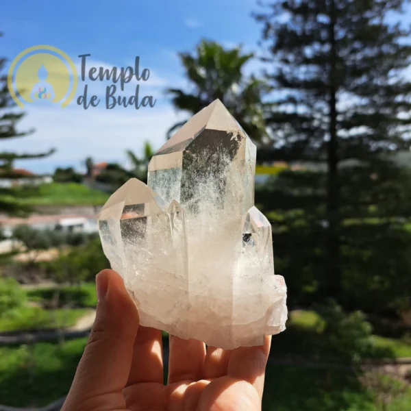 Lemurian Ghost Crystal 4 Points - Image 2