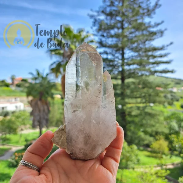 Smoked Gemini Master Crystal in Matrix - Image 2