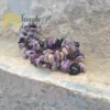 Pulseira Charoita Chips