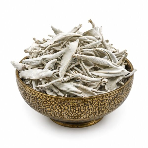 Salvia Branca California Folhas