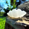 Bastão Selenite Espiral