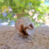 White Quartz Rolled Crystal with Lepidolite and Silver Rutile - Image 5