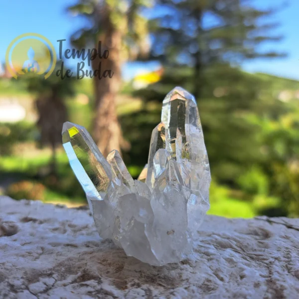 Lemurian Hyaline Master Crystal Tips - Image 3