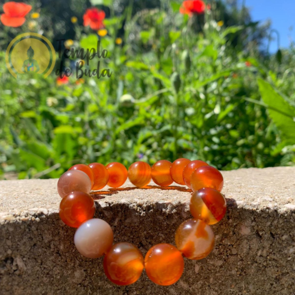 Pulsera cornal de 12mm - Imagen 2