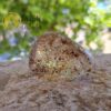 White Quartz with Rolled Lodolite - Image 4