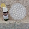 Selenite Plaque Round Flower of Life 8 cm - Image 3
