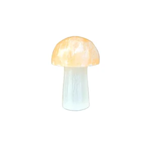 Cogumelo Selenita Branca e Laranja
