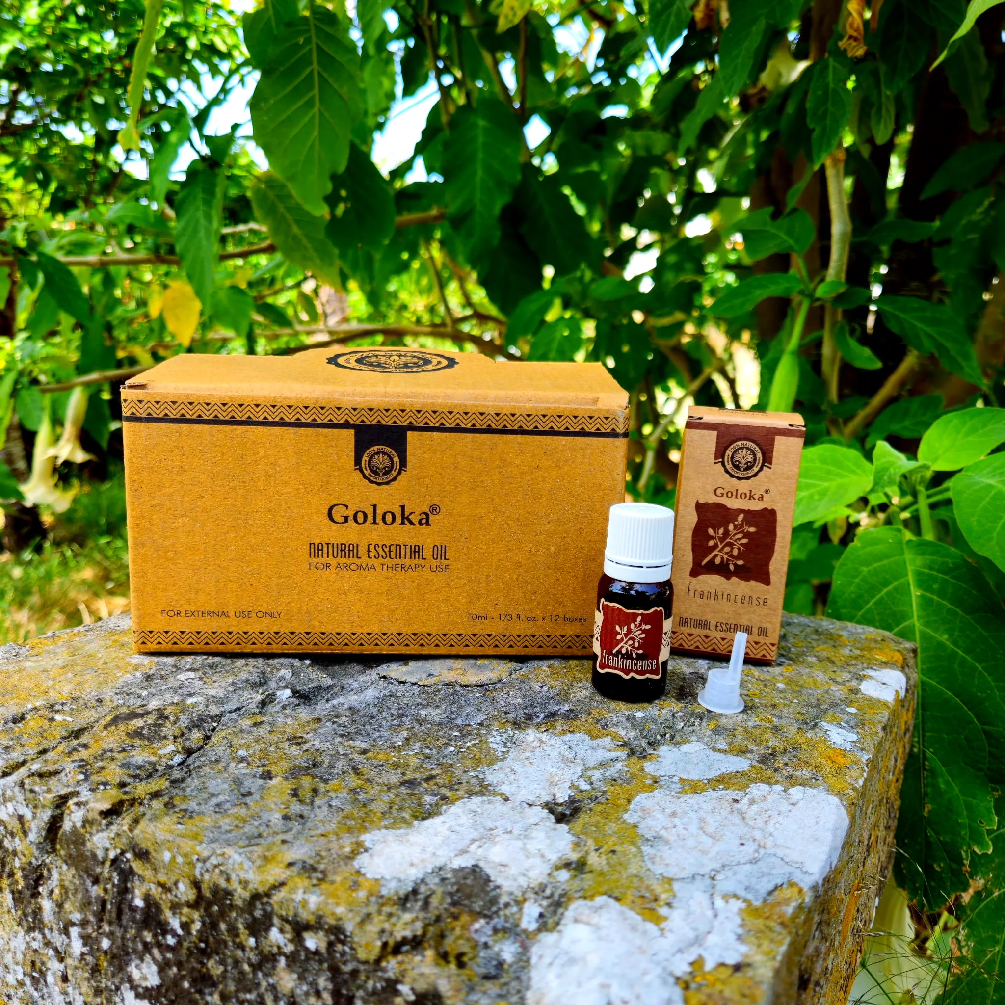 Óleo Natural Goloka Frankincense Caixa