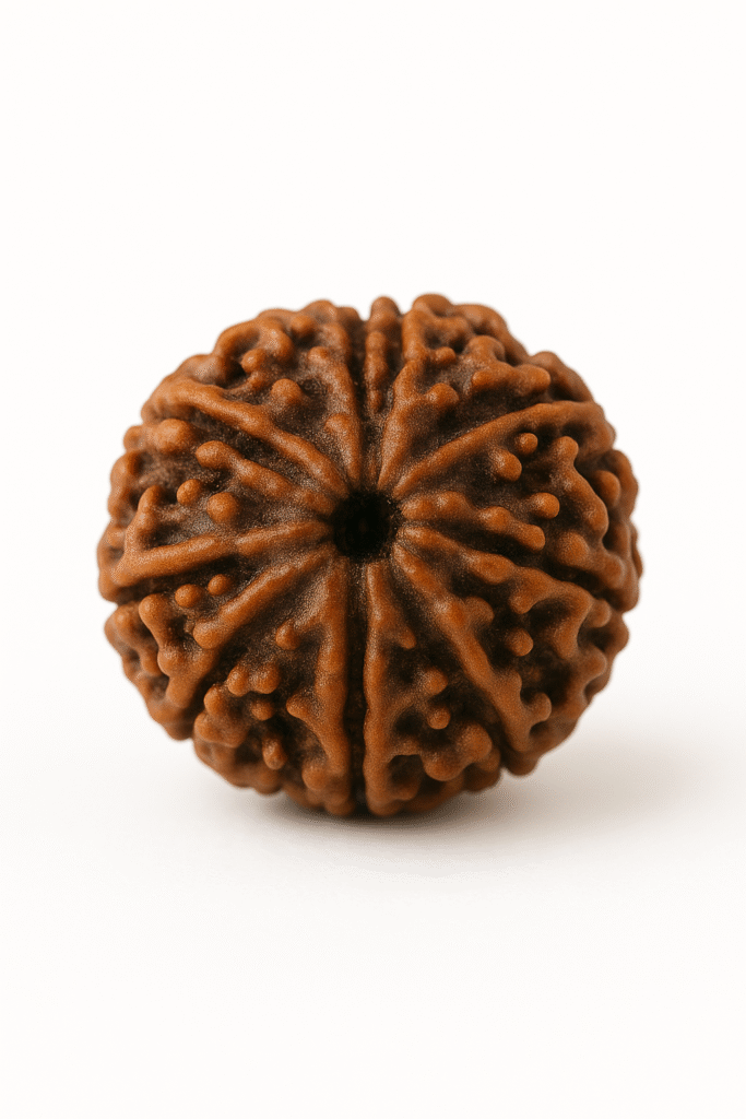 Rudraksha – The Hindu Seed of Divine Connection