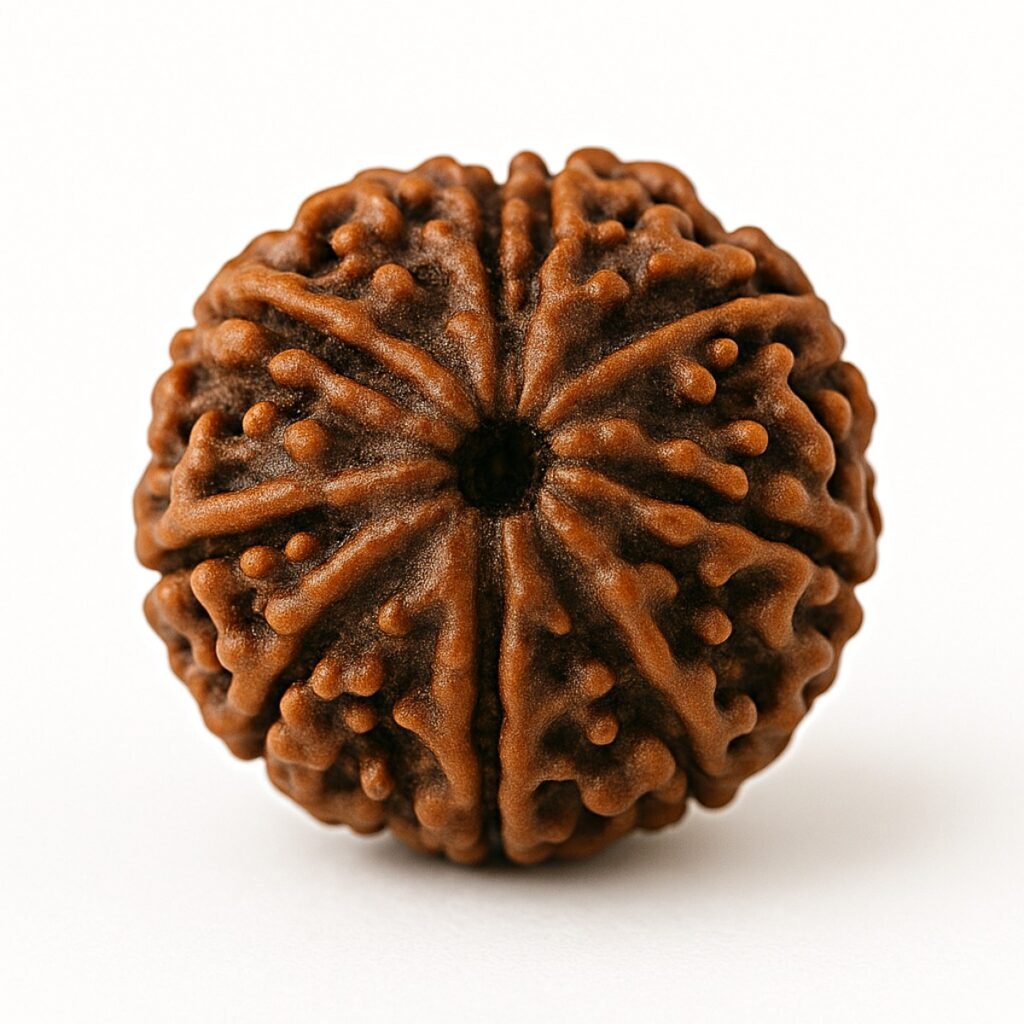 Rudraksha – A Semente Hindu da Conexão Divina