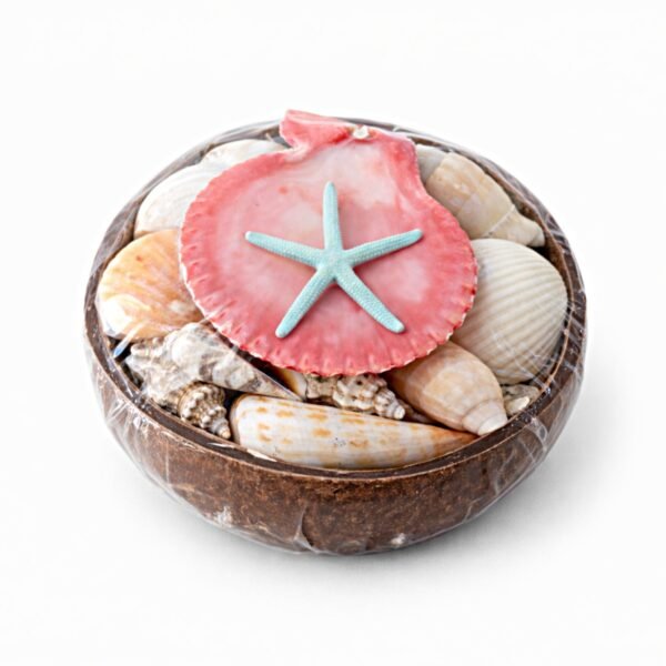 Casca de Côco Decorativa com Estrela do Mar e Conchas
